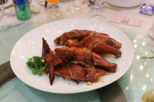 賓客享用晚宴美食情況。