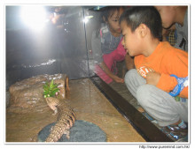 參觀屯門公園爬蟲館。