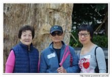 遊覽荃灣如心廣場內木化石公園。