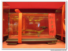 三十六週年會慶聯歡晚會實況